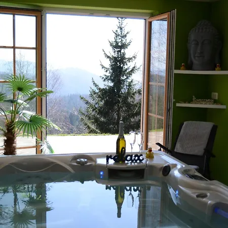 With Hot Tub And Sauna Sabina